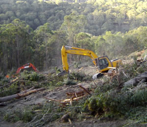 Clearing & Felling